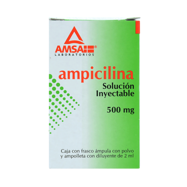 AMPICILINA 500MG/2ML -AMSAPEN-1AMP SOL - Imagen 4