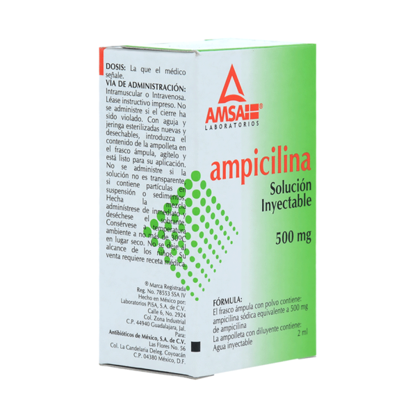 AMPICILINA 500MG/2ML -AMSAPEN-1AMP SOL - Imagen 5